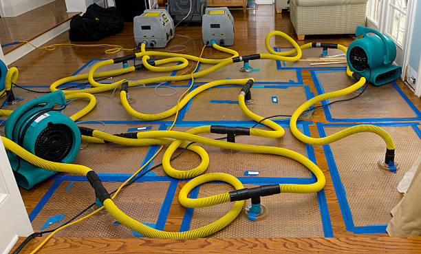 Professional Sewage Cleanup technician working in Amherst, OH